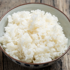 白ごはん