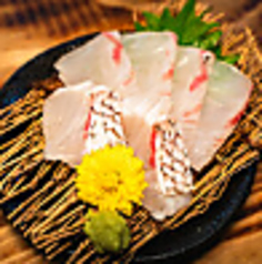 刺身　鯛