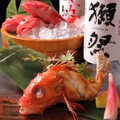 料理メニュー写真 旬の焼き魚