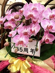 仏蘭西料理 ミルフィーユの写真