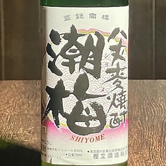 潮梅 (麦) 一杯/ボトル