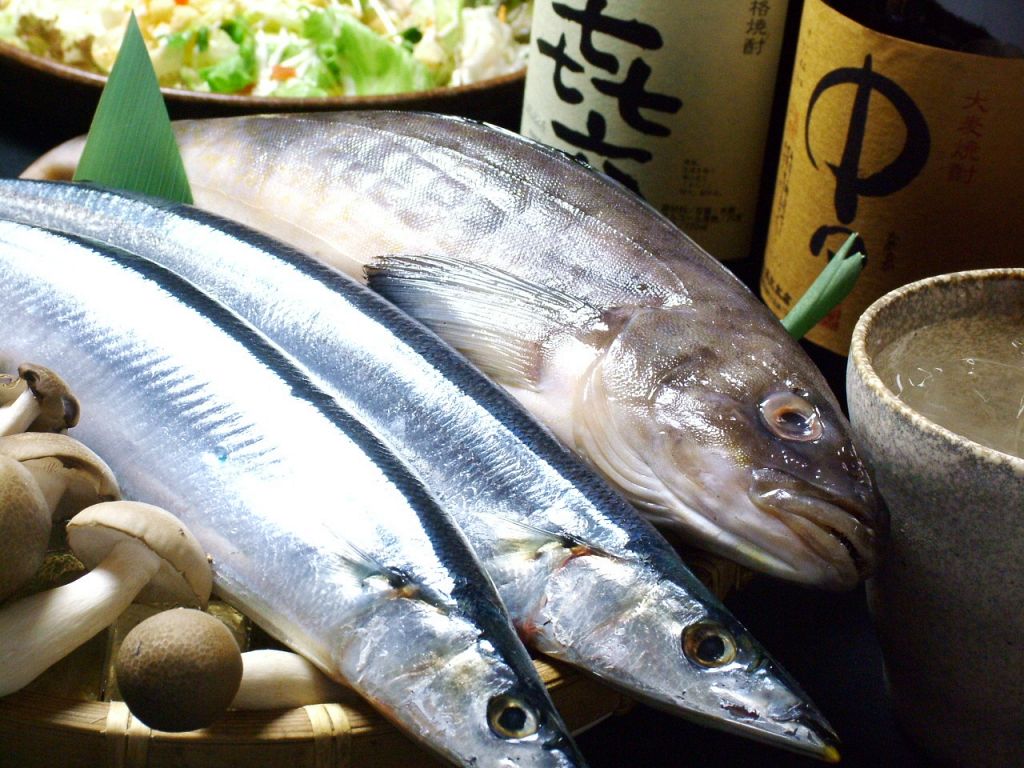 毎日仕入れる鮮魚を使った料理は美味♪17時～19時限定で刺身3点盛り＋生ビールが680円