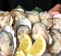 料理メニュー写真&nbsp;殻付生牡蠣～かなわの生牡蠣！！～１コ※夏季はかなわの「牡蠣小町」使用してます