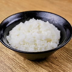 ライス