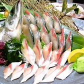 いかやのおすすめ料理2