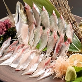 いかやのおすすめ料理3