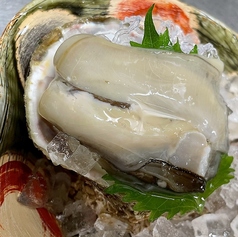 岩牡蠣/ぬた