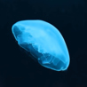 青ノ月のおすすめポイント1
