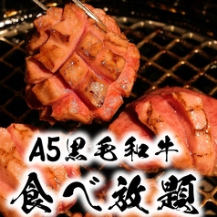 完全個室 焼肉 雅 名古屋金山店特集写真1