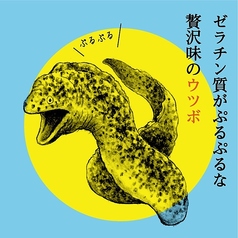 ウツボ