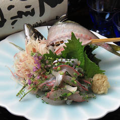 活あじたたき - Japanese Horse Mackerel - 殴打竹莢魚 -