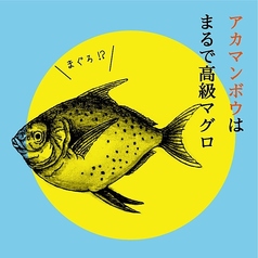 アカマンボウ/イソギンチャク