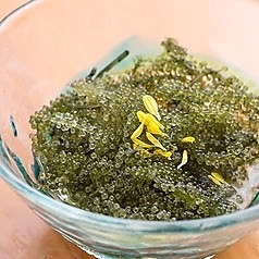 【当店人気1位】沖縄近海 海ぶどう