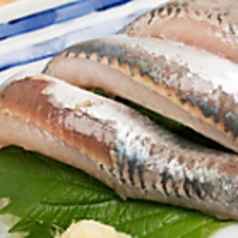 鰯(イワシ)