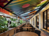 EL RINCON DE MEXICOLA エル リンコン デ メヒコーラの雰囲気3