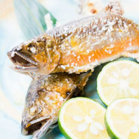 香ばしさ引き立つ鮎の塩焼き