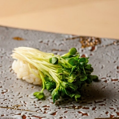 かいわれ大根の握り