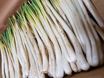 農家さん直送！旬のものを味わっていただきたいから、季節によって沖縄の旬野菜をご用意しております