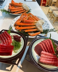 インド鮪 中トロ