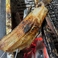 ほっけの炭焼きです。