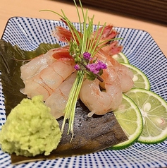 富山湾産甘海老の昆布〆