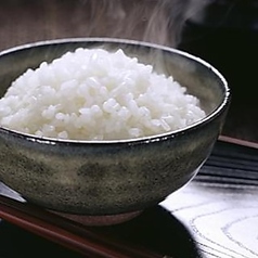 ご飯〈大〉