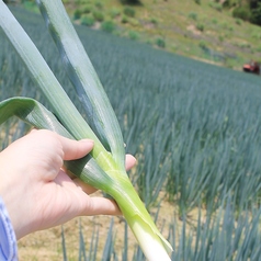 京都伝統野菜『九条ねぎ』