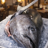 1年中新鮮な北海道産マグロをご用意！