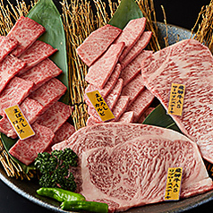 会長盛り（2～3人前）