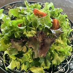グリーンサラダ