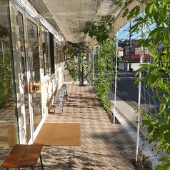 凰琉雅はやま OLGA HAYAMAの外観3