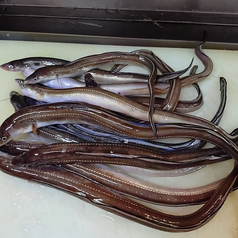 天ノ章のおすすめポイント1