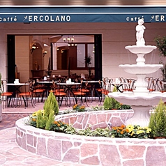 5名様以上でご利用いただける円卓席。皆様で会話が楽しめるお席となっております。