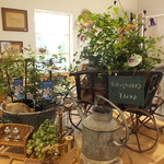 落ち着いた雰囲気に緑が生える◎温かみのある空間で、ゆったりとくつろぎの時間をお過ごしください。