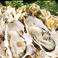 《釧路・網走・根室》昆布森の牡蠣