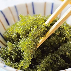 沖縄料理×大阪名物！ライブを聞きながら楽しむのも◎