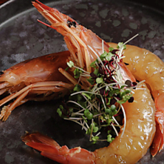 赤海老の日本酒塩昆布漬け(1尾)