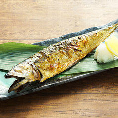 金華サバ一夜干し★宮城県金華山周辺で水揚げされた特別なサバです