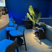 absol アブソルの雰囲気2