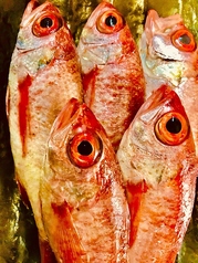 佐渡 のど黒塩焼き(半身)