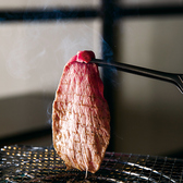 やまはんだけの創作メニューの数々は新しい肉の美味しさを味わうことができます♪こだわりのメニューを取り揃えておりますので是非ご賞味下さい！