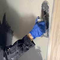 微生物の歓び波動