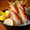料理メニュー写真&nbsp;赤海老刺し