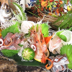 牛若丸特集写真1