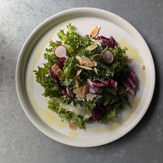 ケールとハーブ香る グリーンサラダ　