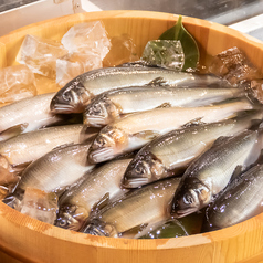 炉端焼き「ばかわらい」の特集写真