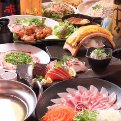 居酒屋ダイニング てんくう 富士駅前店特集写真1