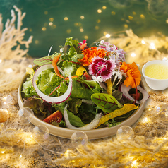 唐津直送グッドリーフ農園のフラワーガーデンサラダ