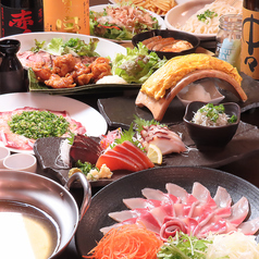 居酒屋ダイニング てんくう 富士駅前店特集写真1