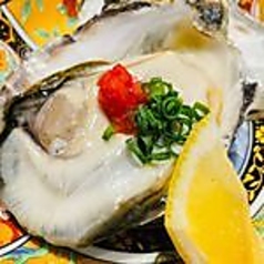 兵庫県赤穂の大粒牡蠣 生